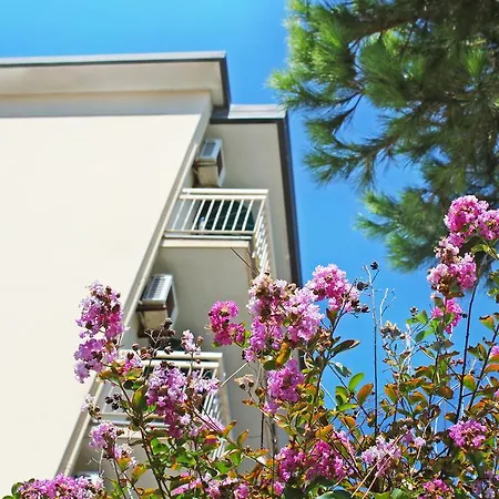 Hotel The Match Cervia