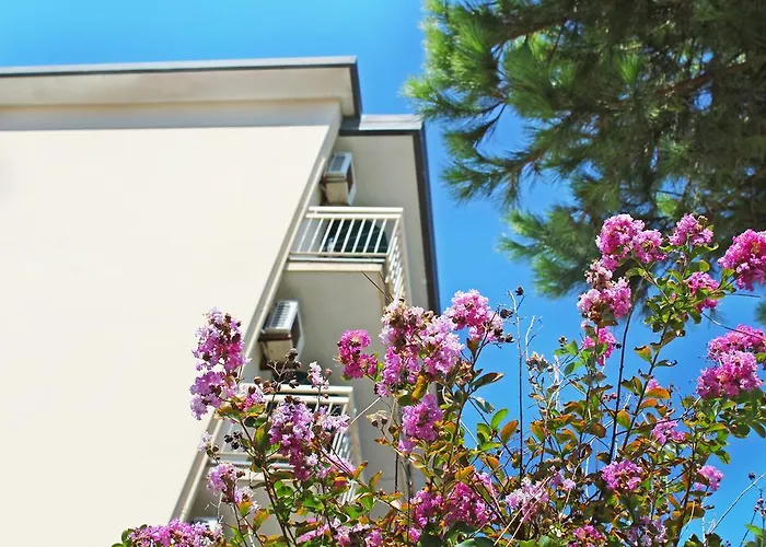 Hotel The Match Cervia